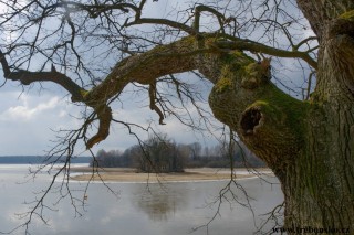 Opatovický rybník, jarní výlov 2018