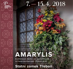 Amarylis na zámku v roce 2018