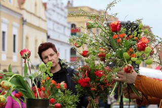 Floristé v Třeboni