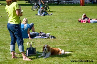 Zámecký park sobota 30. 6.