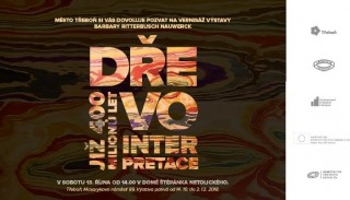  Dřevo – již 400 milionů let – interpretace