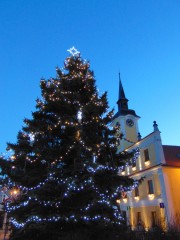 Vánoční strom v Lomnici nad Lužnicí