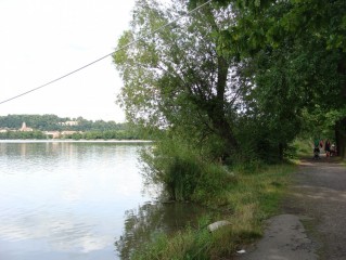 rybník Bezdrev