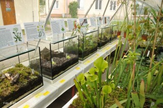 Sbírka vodních a mokřadních rostlin AV v Třeboni