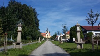 Chlum u Třeboně - červen 2019