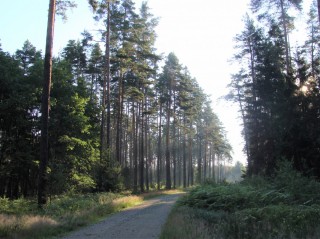 Třeboňsko