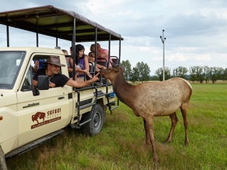 Safari Resort v Hluboké u Borovan