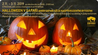 Halloween 2019 v Safari u Borovan