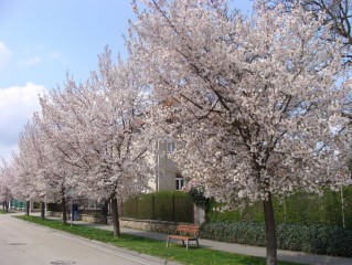 Prodloužený květnový víkend na Třeboňsku