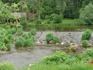 Řeka Nežárka