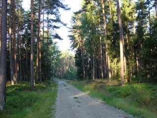 Třeboňsko