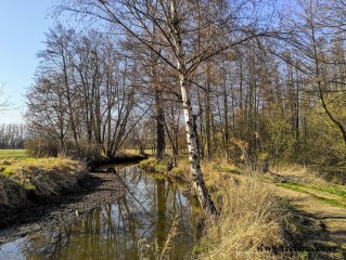 Zlatá stoka