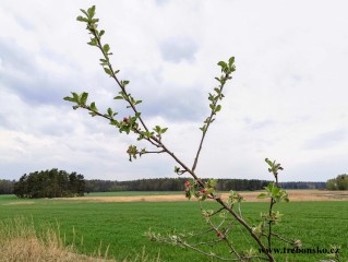 Výšlap z Třeboně na Dunajovickou horu na fotografii