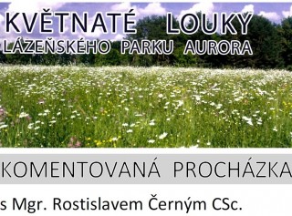Vycházka s Rostislavem Černým: Květnaté louky parku Aurora 2020