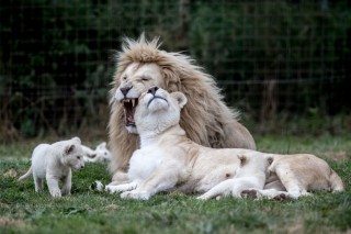 Zoologická zahrada Dvorec u Borovan - ZOO Dvorec