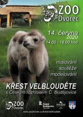 Křtiny velblouděte s Českým rozhlasem ČB - pozvánka do ZOO Dvorec 2020