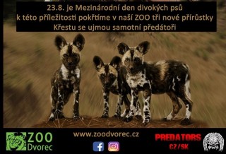 Neděle v ZOO Dvorce 2020