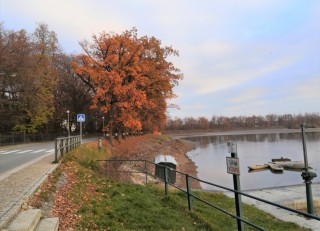 Rybník Svět se bude lovit 16. - 19.11.