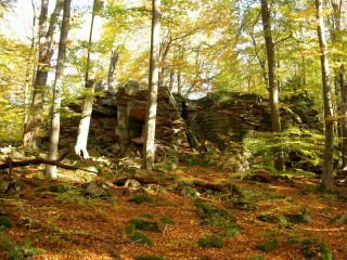 Přírodní park Homolka - Vojířov