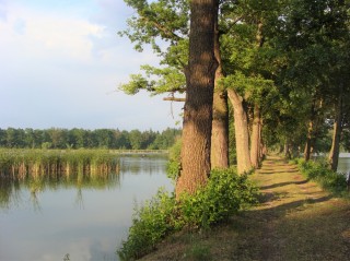 Rybník Naděje