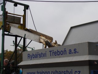 Rybářství Třeboň a.s.