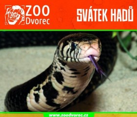 Svátek hadů 2021 v ZOO Dvorec u Borovan