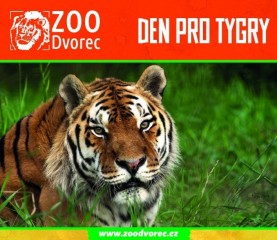ZOO Dvorec - Den pro tygry 2021