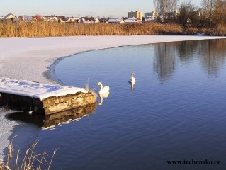 Břilická rybniční soustava, katastr Třeboň