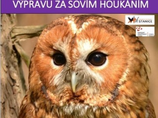 Výprava za sovím houkáním Třeboň 2022