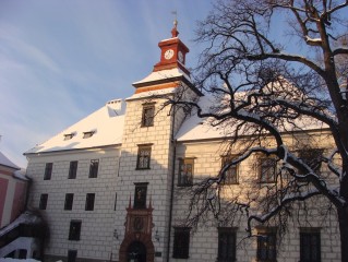 Vánoční výstava  klubu Mája 2022 