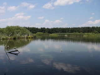 Rybník Rod - Přírodní rezervace