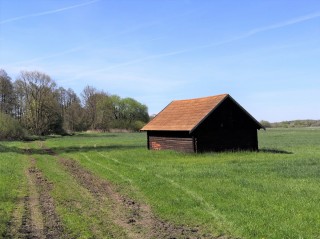 Typický obraz třeboňské krajiny 