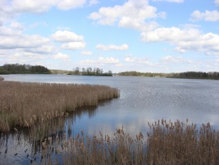 Rybník Kaňov - pohled od Přeseky