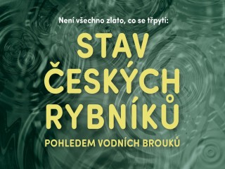 Stav českých rybníků pohledem vodních brouků - přednáška V. Koláře