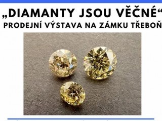 Diamanty jsou věčné - výstava a prodej