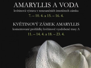 Výstava květin Amarylis 2023 na Zámku Třeboň