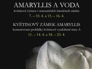 7.-23.4. Amarylis na zámku