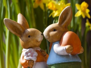 Velikonoční cesta za králíky - v Borovanech