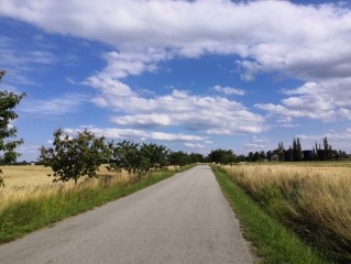 Štafetová pouť Praha Orvieto - 17. ročník
