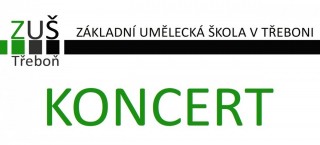 Koncert absolventů školy ZUŠ