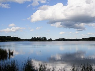 Ruda, slatinné rašeliniště - NPP 