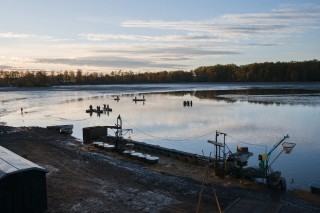 7.11.2023 Výlov rybníka Svět, Třeboňsko