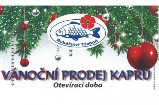 Vánoční třeboňský kapr - kdy a kde rybu koupit?