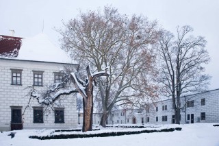 Zimní Třeboň