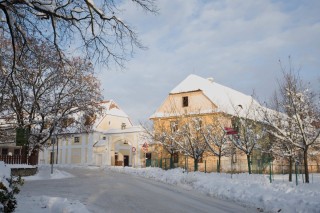 Zimní Třeboň