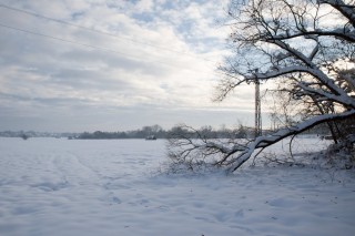 Zimní Třeboň