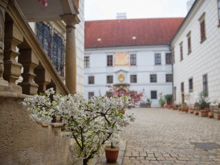 Zámek Třeboň