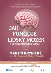 VPV: Jak funguje lidský mozek