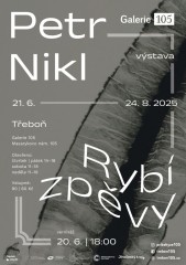 Výstava ve Stopětce Třeboň - Petr Nikl: Rybí zpěvy