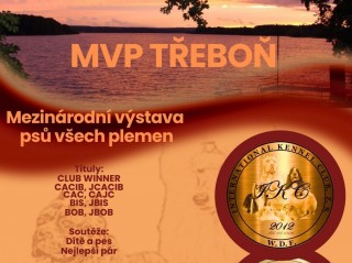 Mezinárodní výstava psů Třeboň